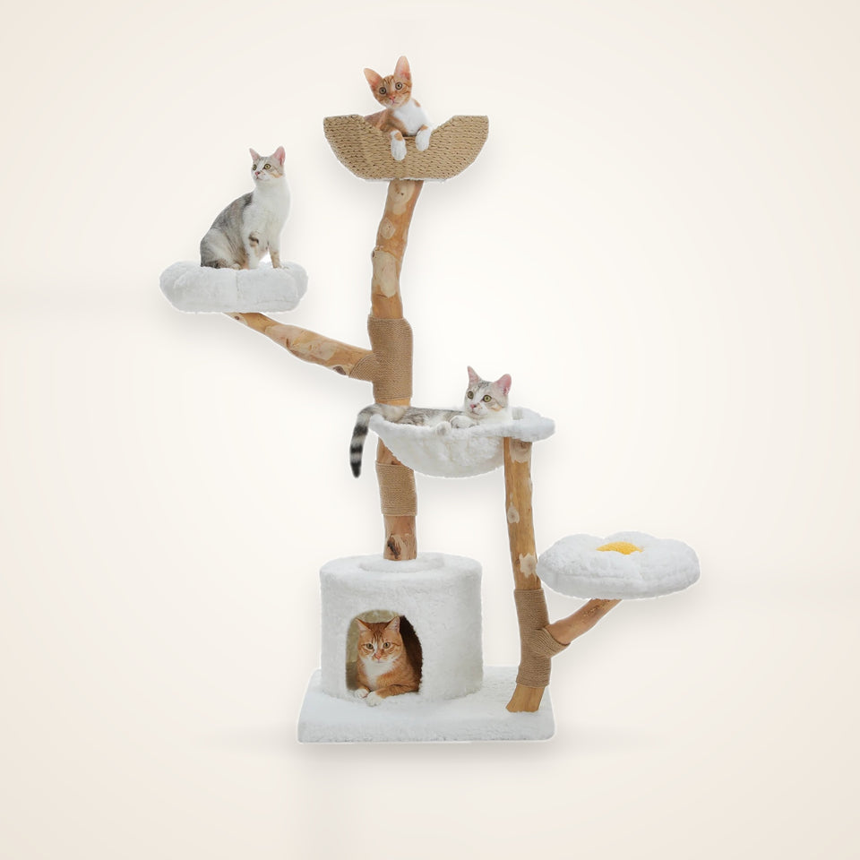 Large Cat Tree with Wicker Basket Bed – studio photo