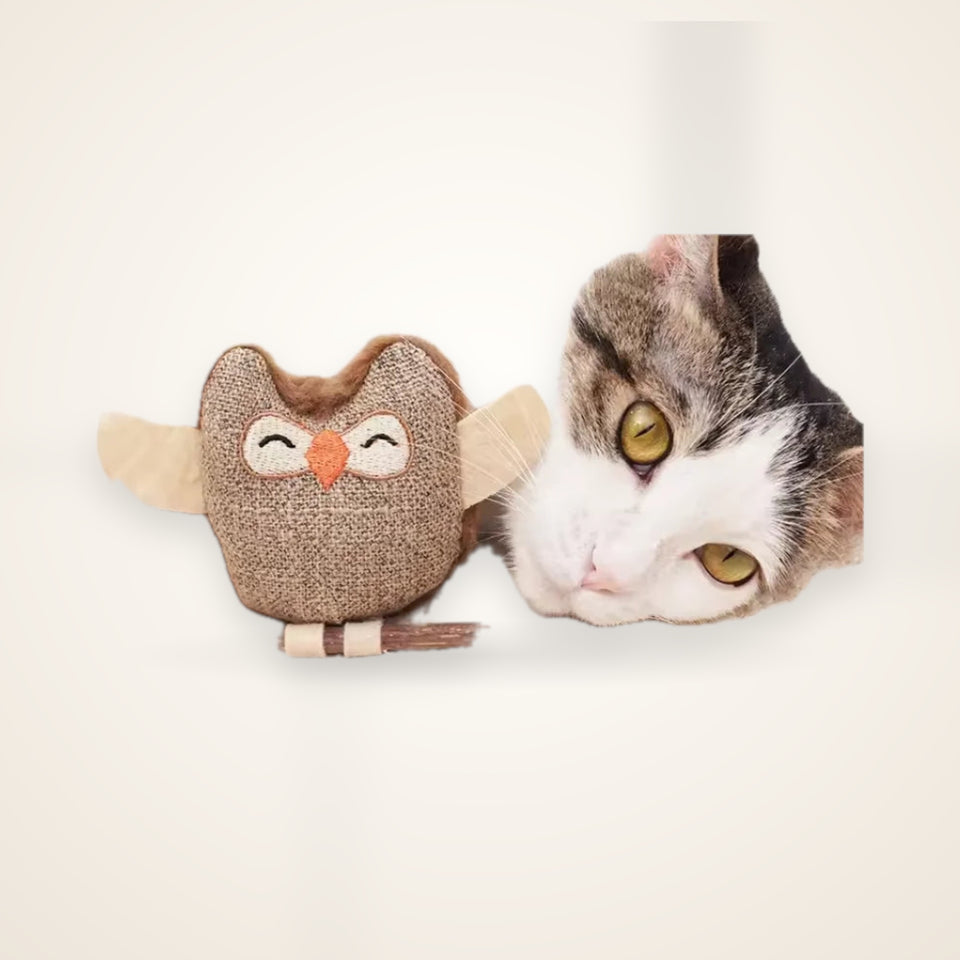 Catnip & Silvervine Dental Chew Toy – studio photo