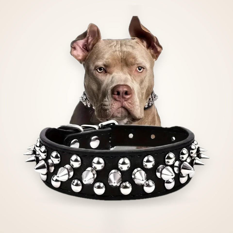 Spiked Dog Collar And Leash Set, Rivet Leather Dog Collar Adjustable Dog Collar For Outdoor Walking – studio photo