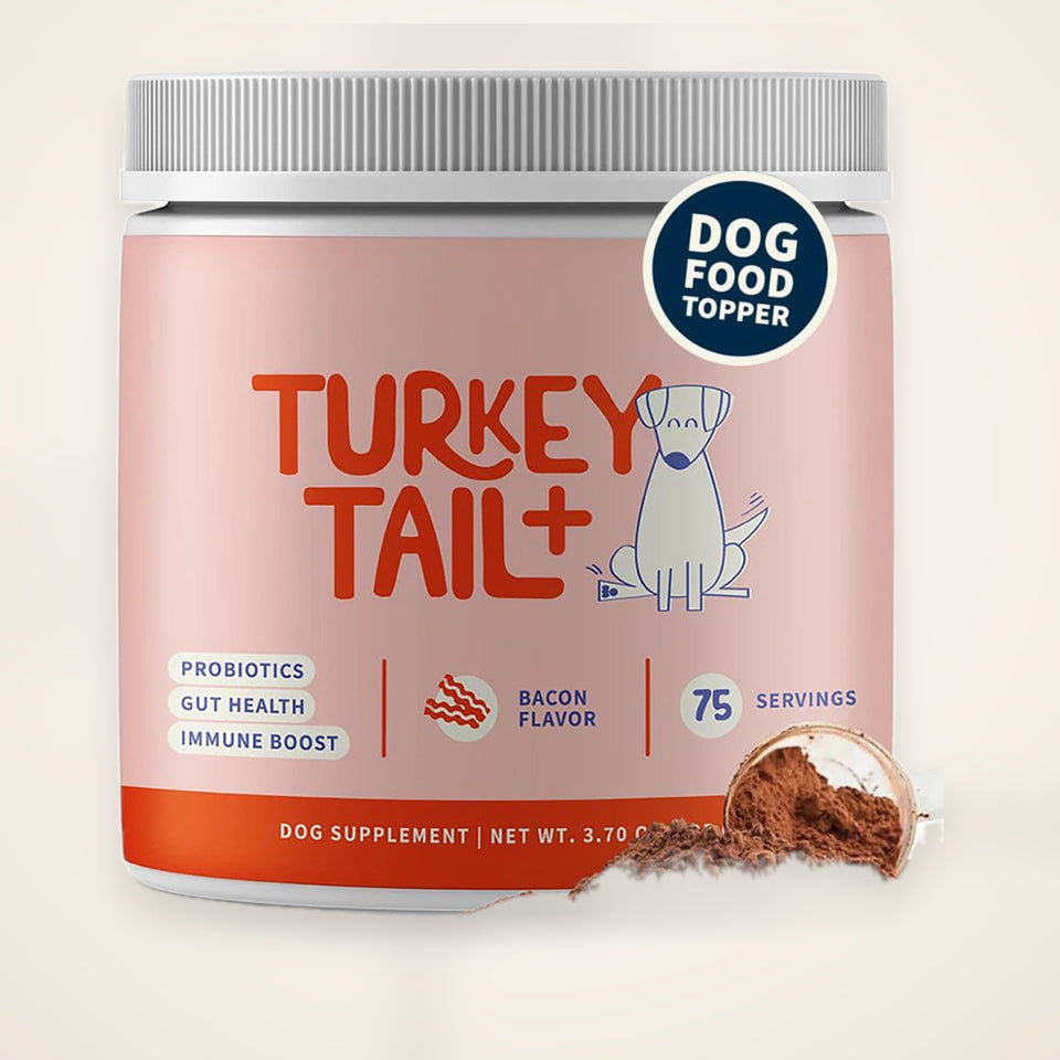 Turkey Tail Mushroom Supplement for Dogs – studio photo