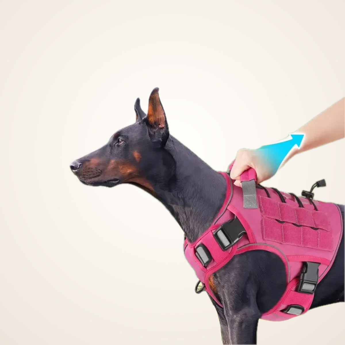 Reflective No-Pull Tactical Dog Harness – studio photo
