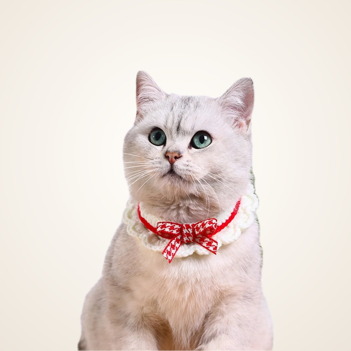 Hand-Knitted Bow Collar for Cats & Dogs – studio photo