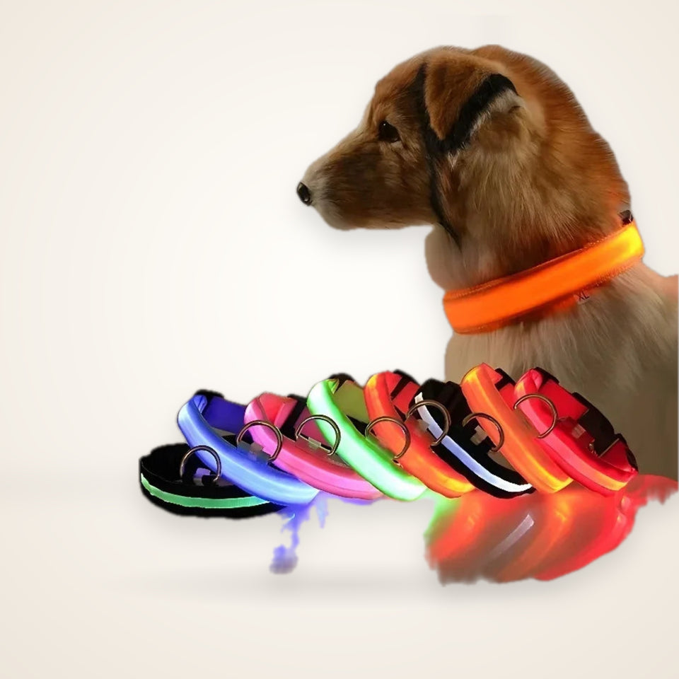 Dog Collar Nylon LED Night Safety Flashing Glow In The Dark Pet Dog Leash pet Dogs Luminous Fluorescent  dog accessories collar – studio photo