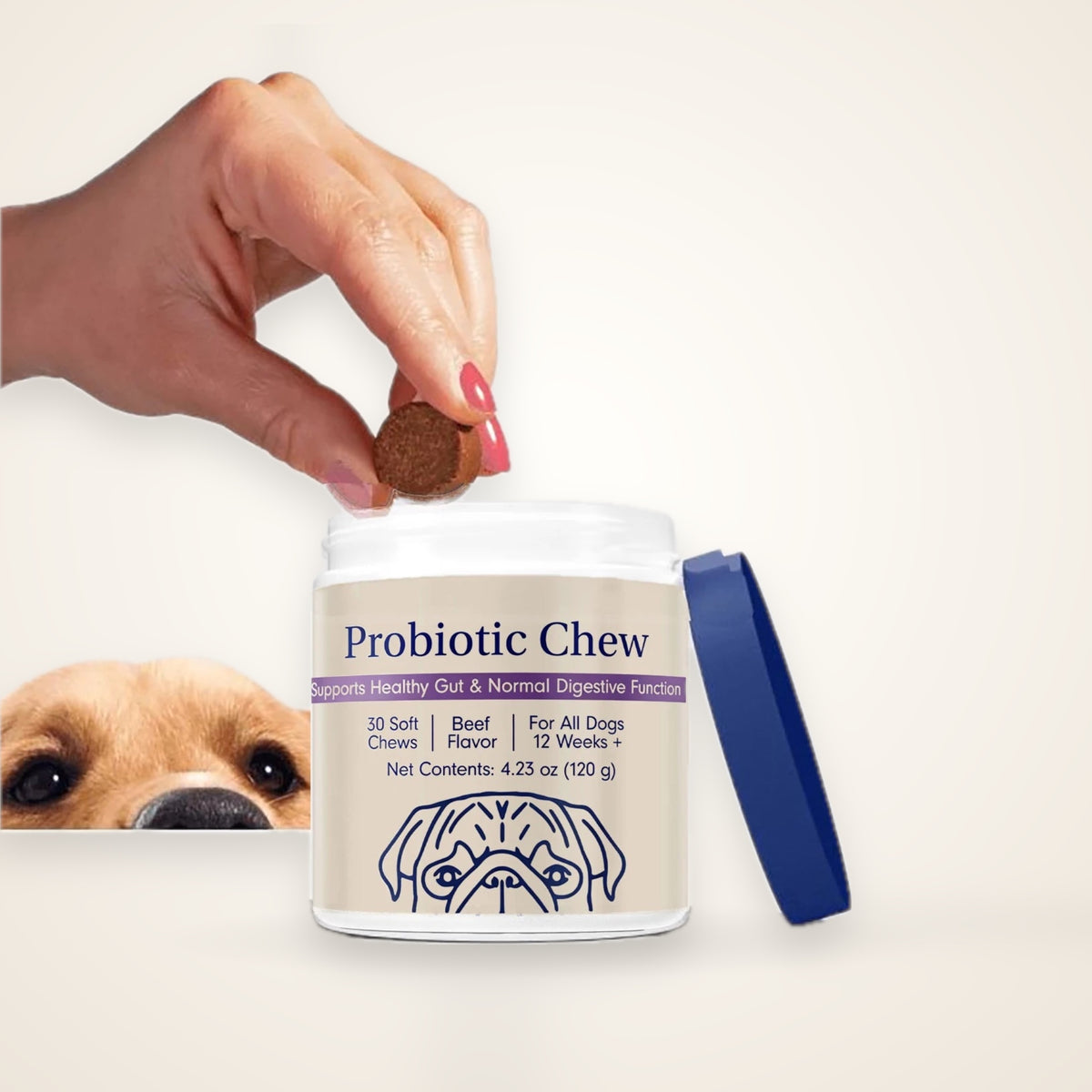 Probiotic Digestive Chews for Dogs – studio photo