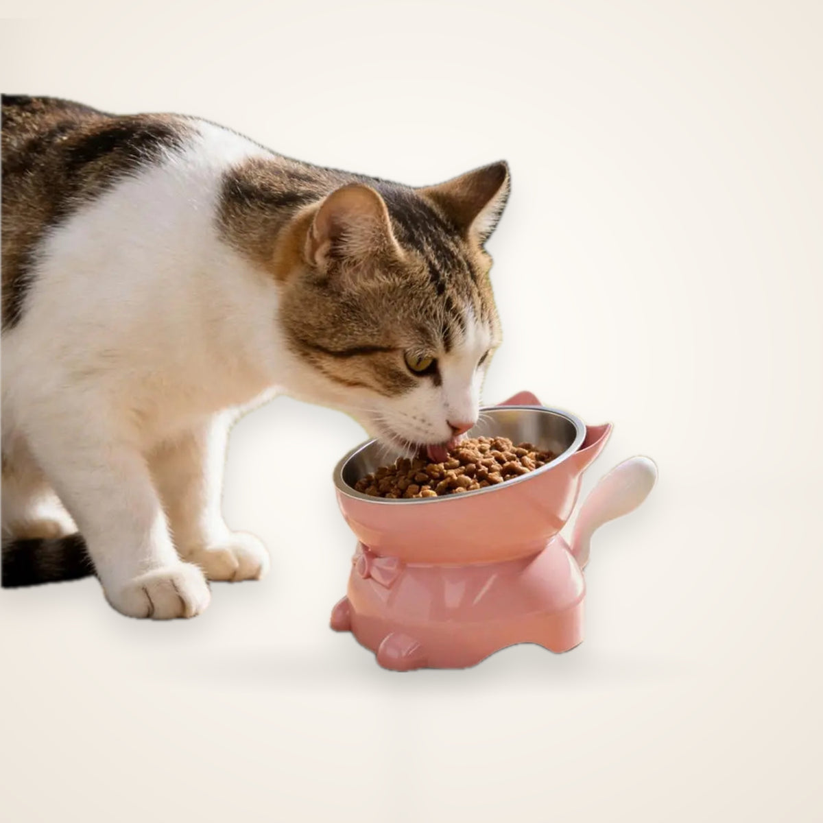 Raised Tilted Stainless Steel Cat Bowl – studio photo