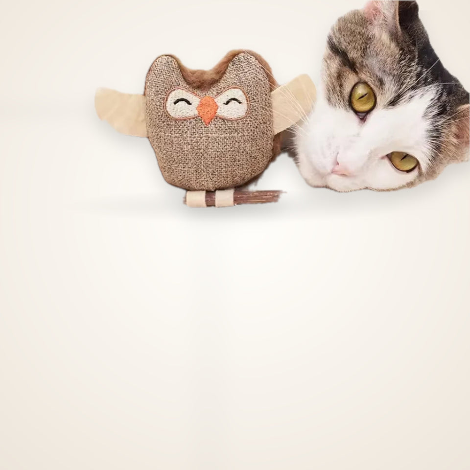 Catnip & Silvervine Dental Chew Toy – studio photo