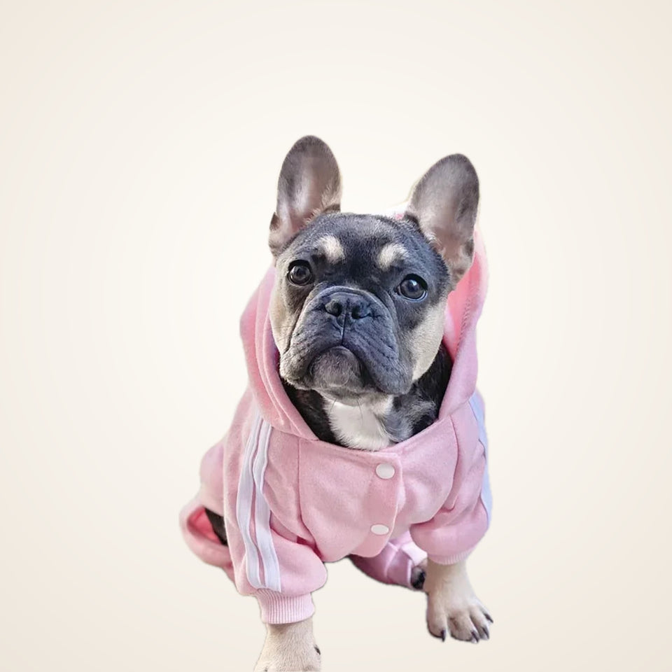 Pet Clothes French Bulldog Puppy Dog Costume Pet Jumpsuit Chihuahua Pug Pets Dogs Clothing for Small Medium Dogs Puppy Outfit – studio photo