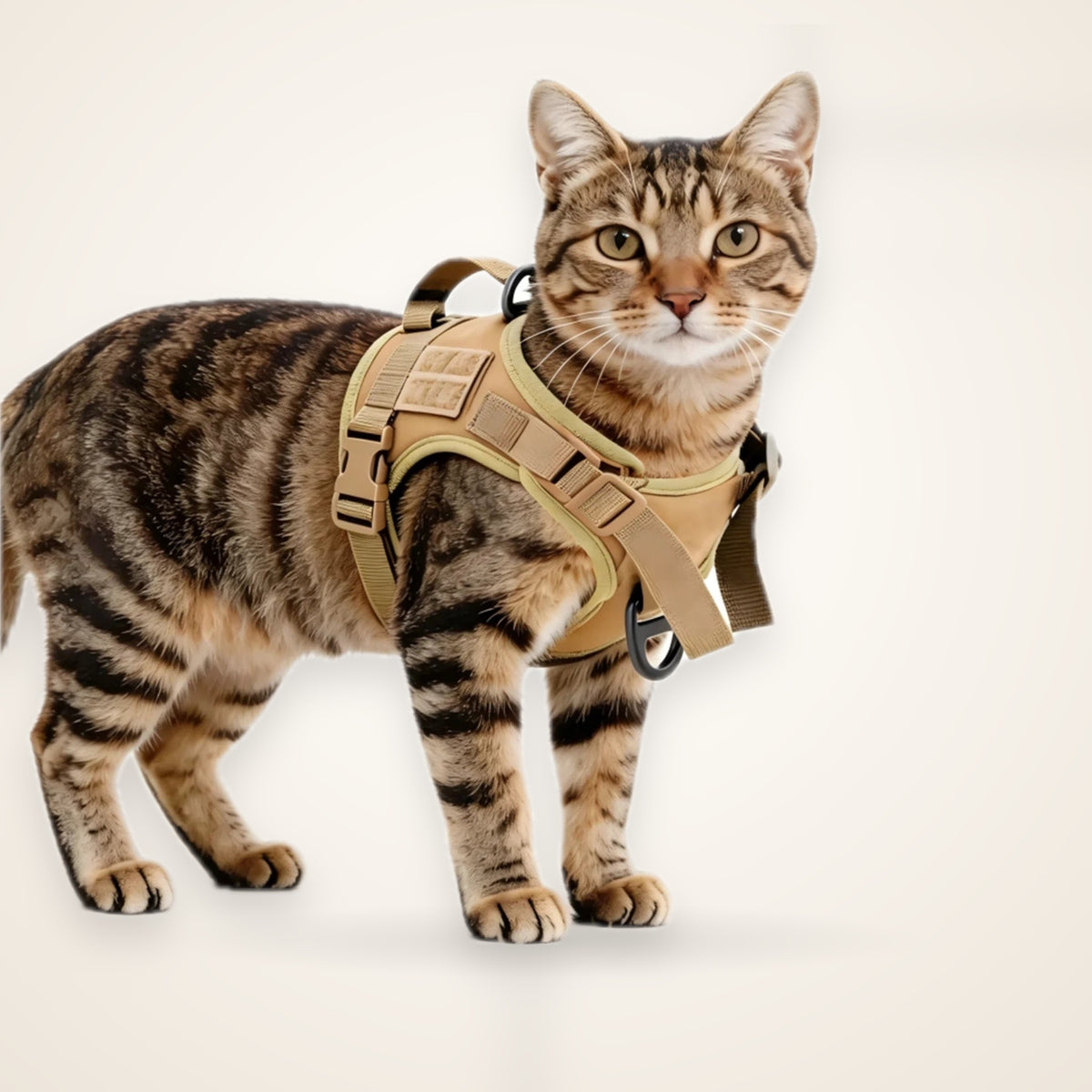 Escape-Proof Tactical Cat Harness & Leash Set – studio photo