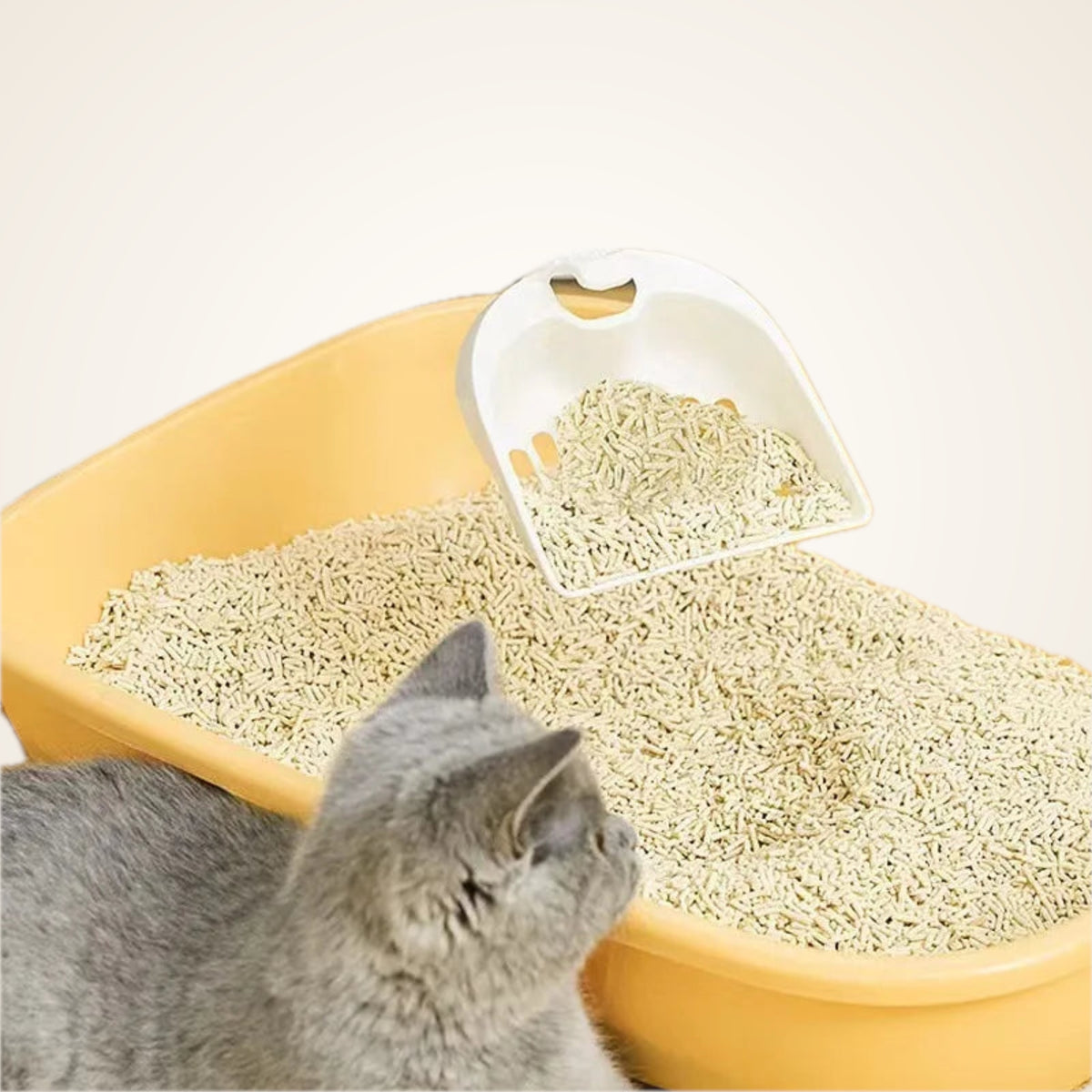 Low-Dust Tofu Cat Litter – studio photo