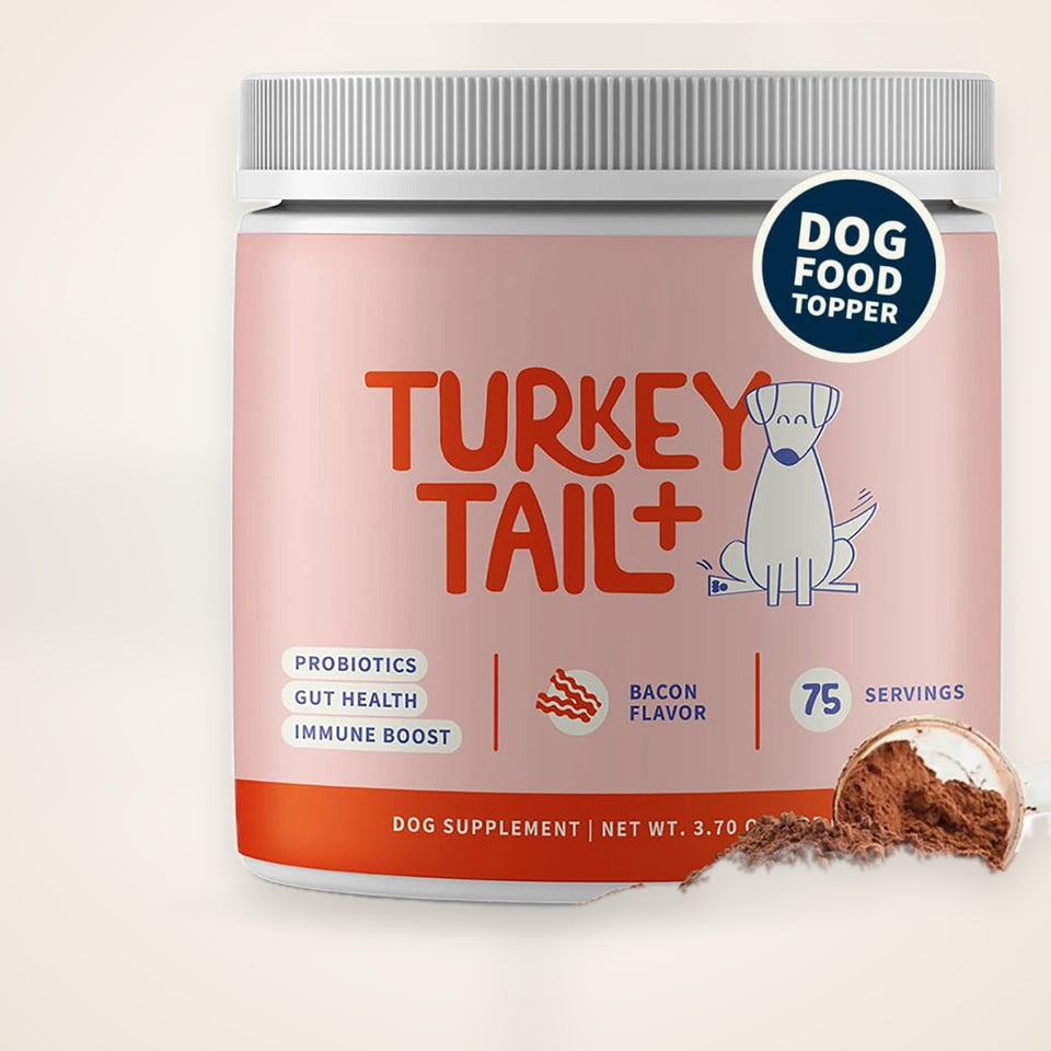 Turkey Tail Mushroom Supplement for Dogs – studio photo