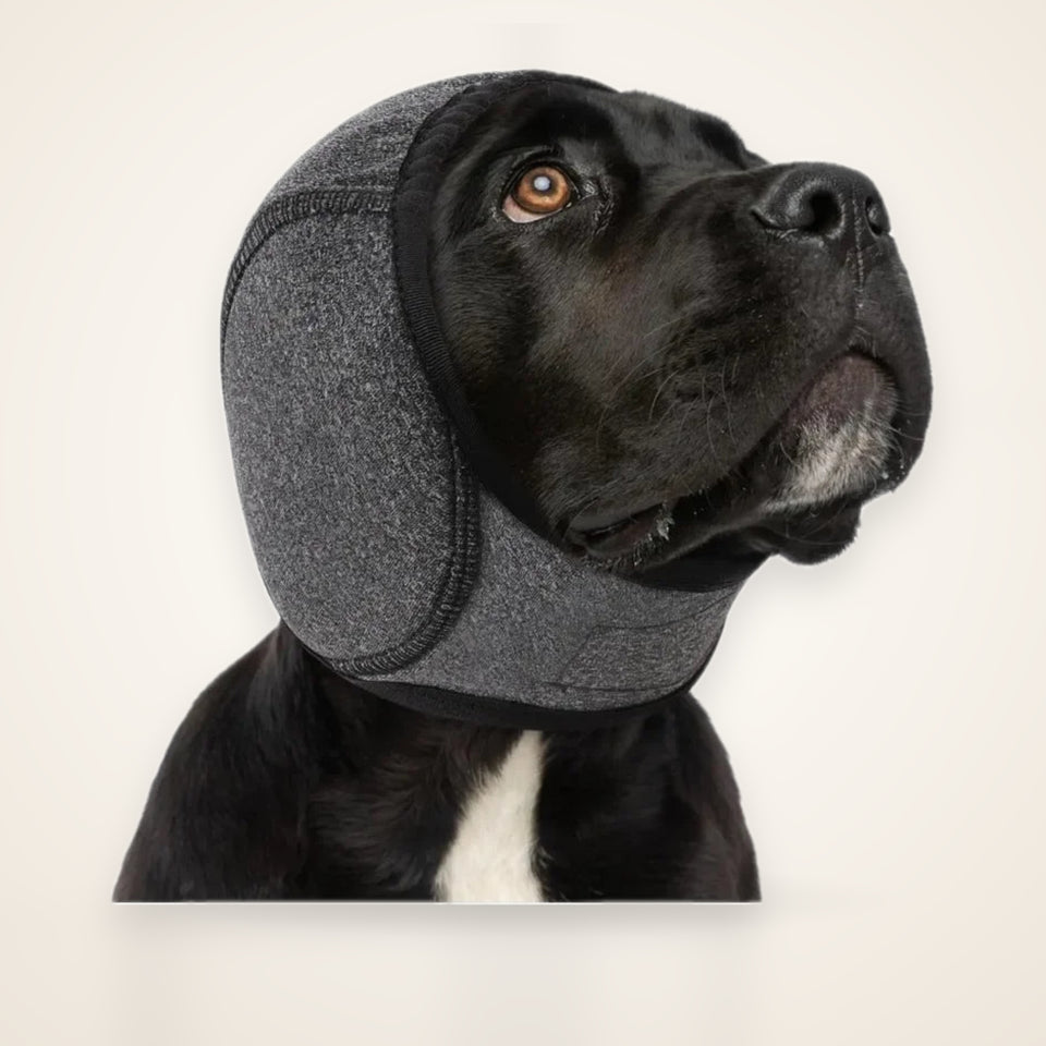 Waterproof Noise Cancelling Dog Ear Muffs for Swimming & Grooming - Calming Hood To Relieve Pet Anxiety & Prevent Shock – studio photo