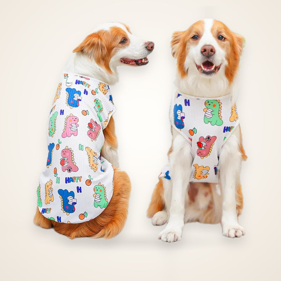 Lightweight Summer Dog Vest, XS–8XL – studio photo