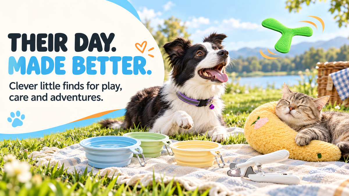 Dog and cat enjoying travel, play and care products outdoors